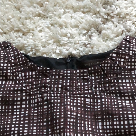 The Limited Dress - Picture 3 of 4